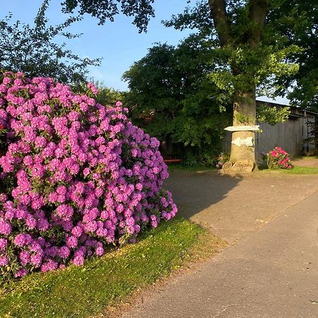 Unter Den Eichen Apartman Botersen Kültér fotó