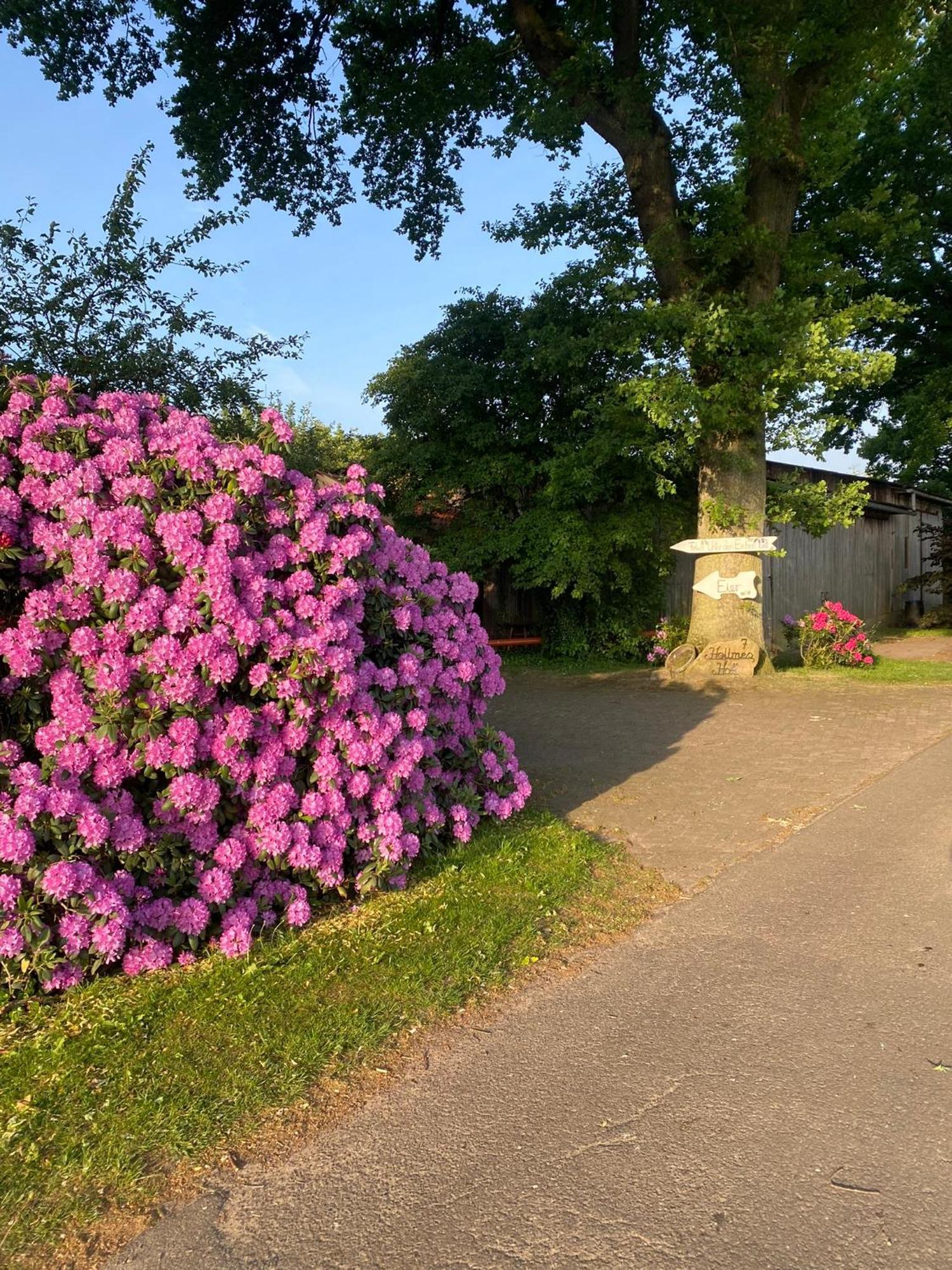 Unter Den Eichen Apartman Botersen Kültér fotó
